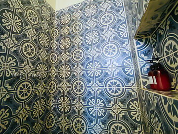 Mexican-style cement tile floor in the shower