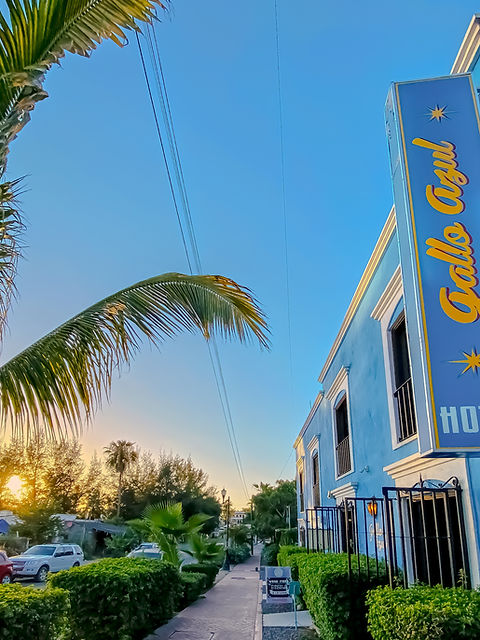 Gallo Azul Hotel 竖排招牌与夕阳下的棕榈树
