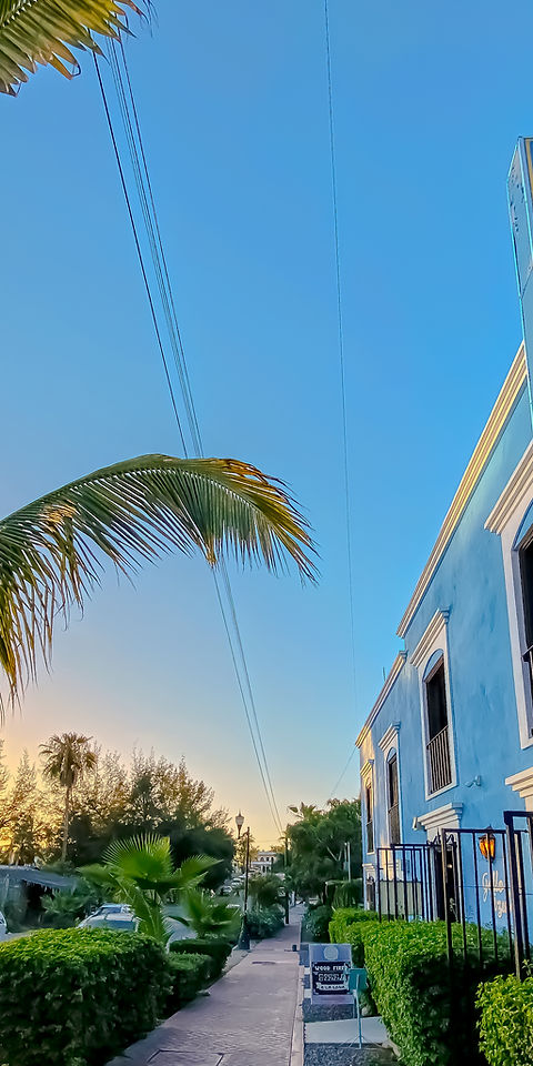 Gallo Azul Hotel 竖排招牌与夕阳下的棕榈树